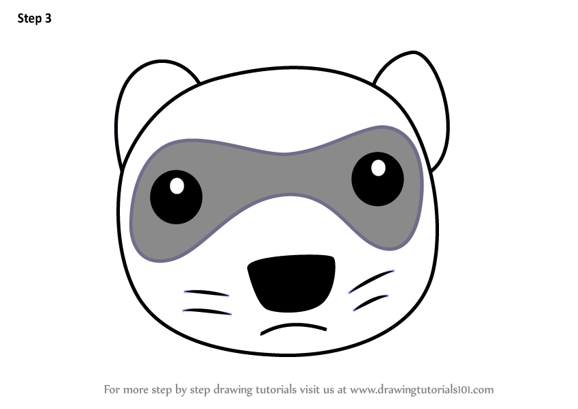 844x598 learn how to draw a black footed ferret face for kids - Ferret Drawing