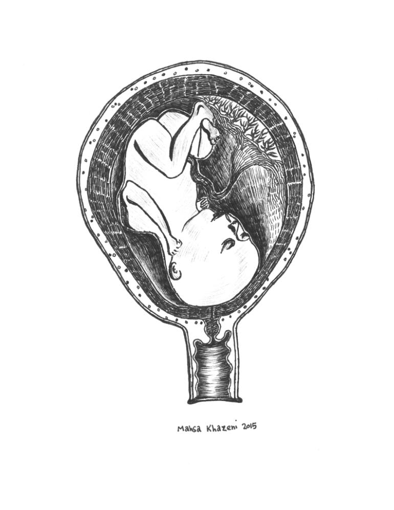 770x996 fetus drawing - Fetus Drawing