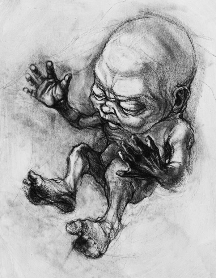 699x900 fetus in womb drawing - Fetus Drawing