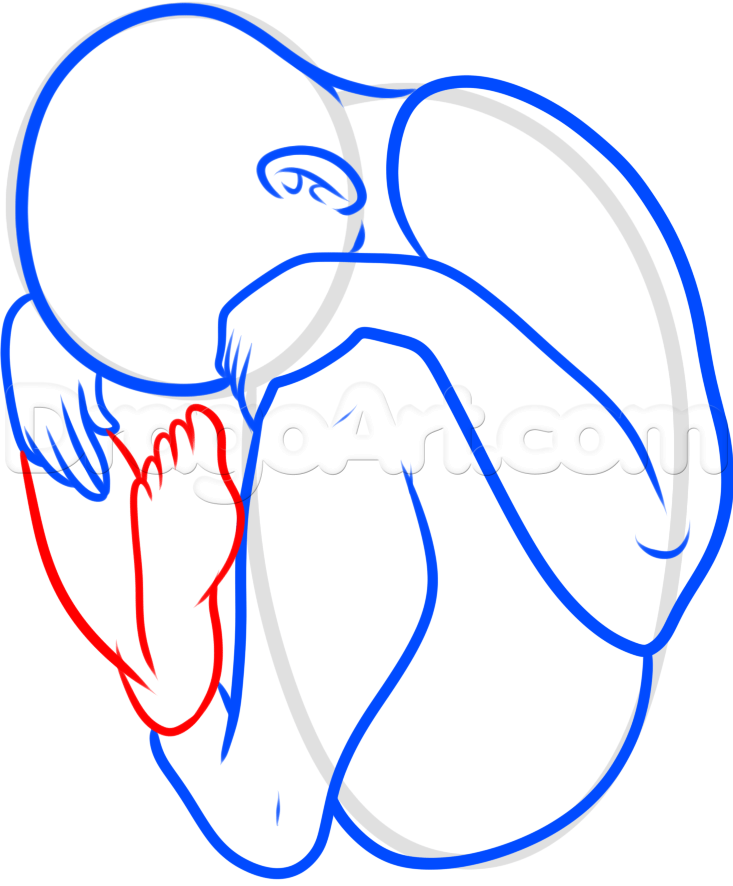 733x886 how to draw a fetus, step - Fetus Drawing