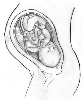 348x419 image result for mother and baby drawing images creative baby - Fetus Drawing
