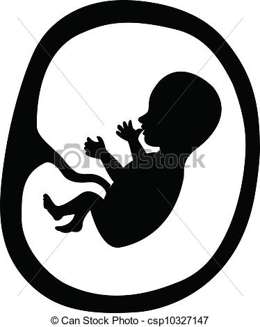 374x470 vector illustration of fetus in a womb - Fetus Drawing