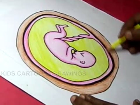 480x360 How To Draw Baby In Mother Stomach Drawing For Kids - Fetus In Womb Drawing