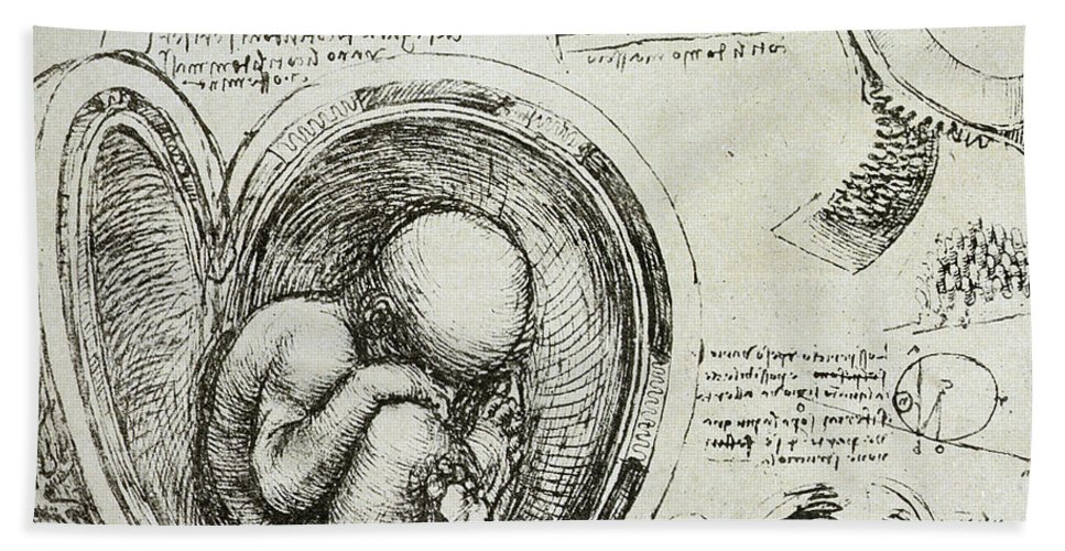 967x500 The Human Fetus In The Womb Hand Towel For Sale - Fetus In Womb Drawing