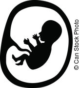 164x179 Baby In Womb Illustrations And Stock Art Baby In Womb - Fetus In Womb Drawing