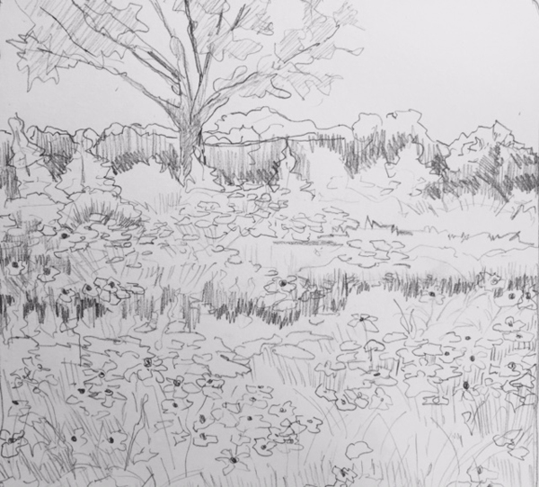 600x542 Flower Field Drawing - Field Drawing