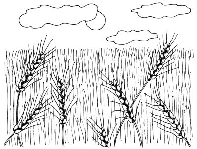 400x303 How To Draw Wheat Fields In Steps Howstuffworks - Field Drawing