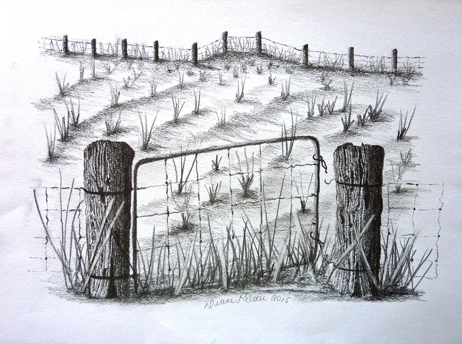 900x672 Old Farm Gate And Field Drawing - Field Drawing