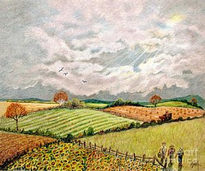 300x251 Sunflower Field Drawings Fine Art America - Field Drawing