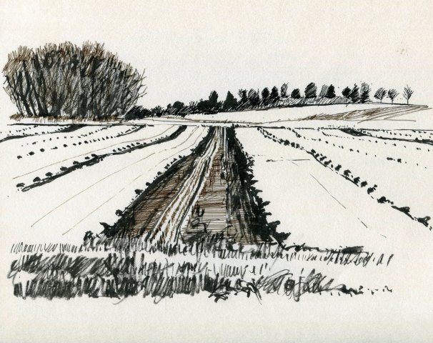 Field Drawing at PaintingValley.com | Explore collection of Field Drawing