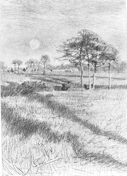 415x576 Drawing Of A Field With Trees Landscape And Architecture - Field Drawing