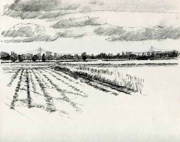 606x480 Drawing - Field Drawing