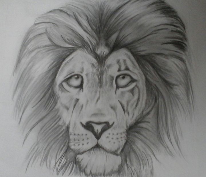 720x620 fierce yet humble - Fierce Lion Drawing