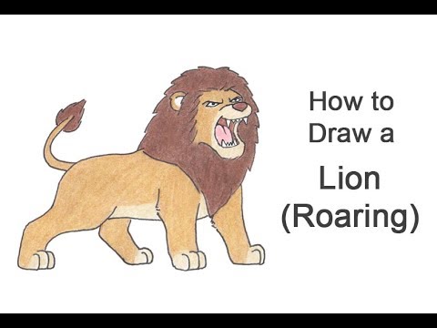 480x360 how to draw a lion roaring - Fierce Lion Drawing