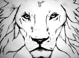270x200 images of easy sketches of fierce lions - Fierce Lion Drawing