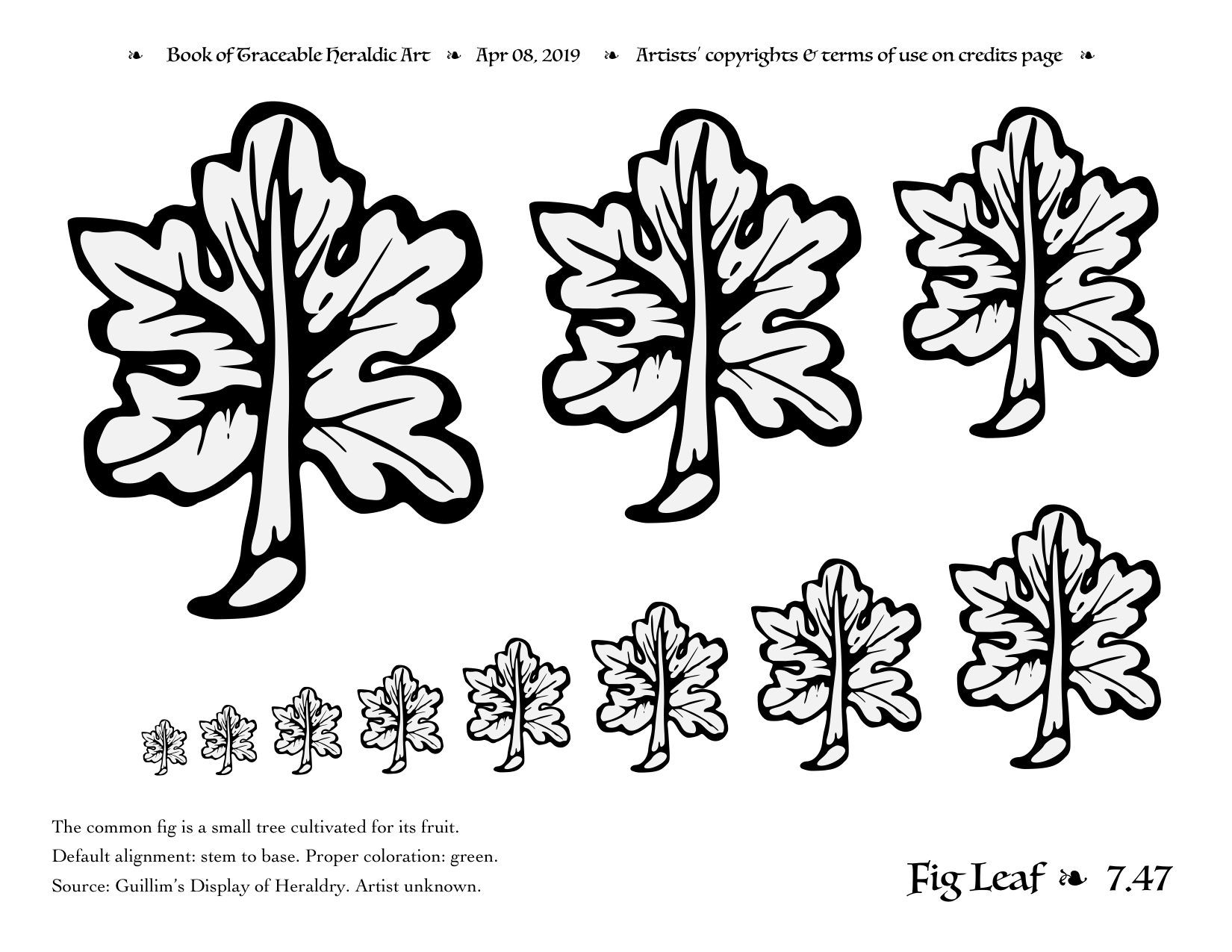 Fig Leaf Drawing at Explore collection of Fig Leaf