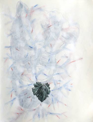 375x489 fig leaf drawing - Fig Leaf Drawing