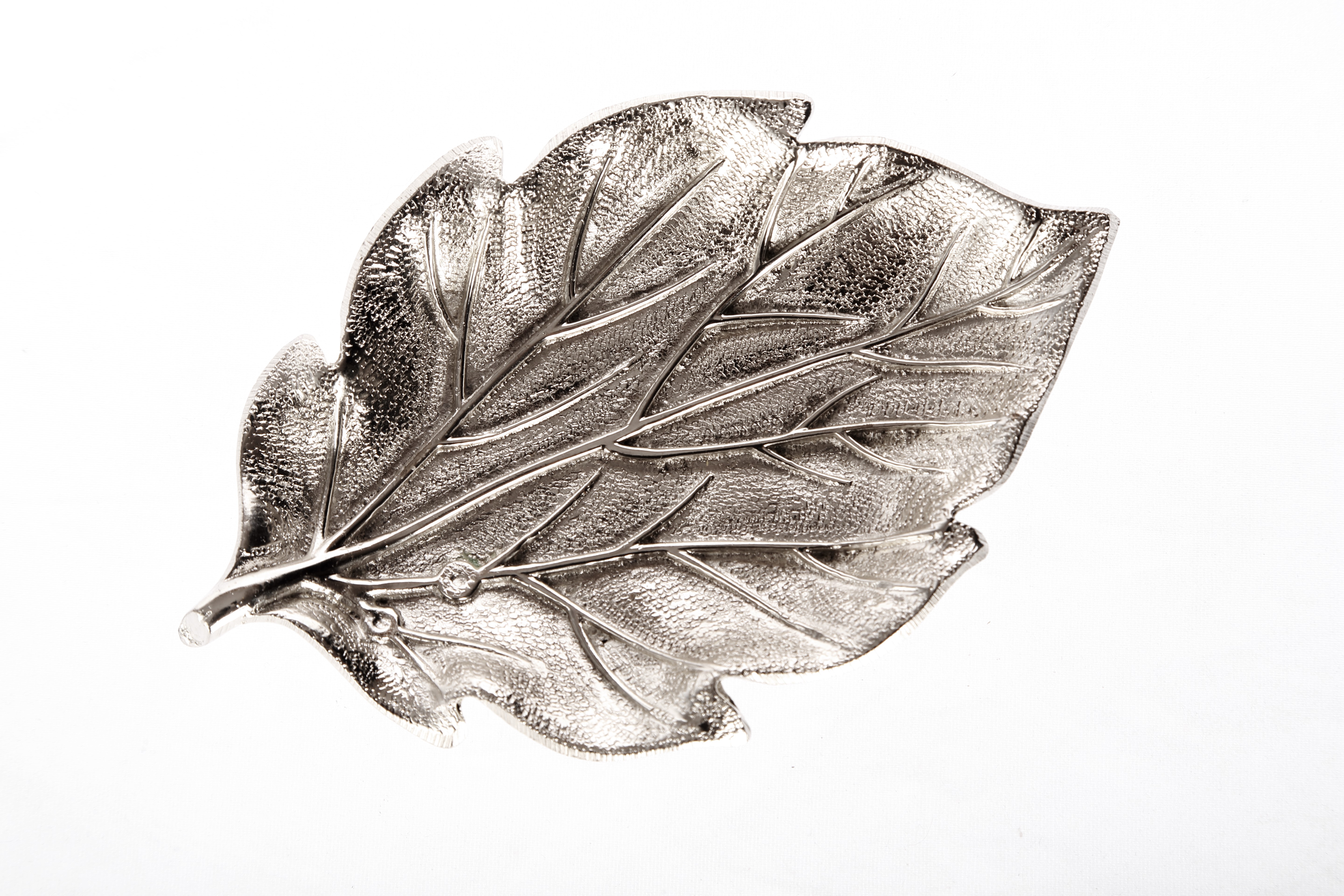 5760x3840 fig leaf taneez - Fig Leaf Drawing