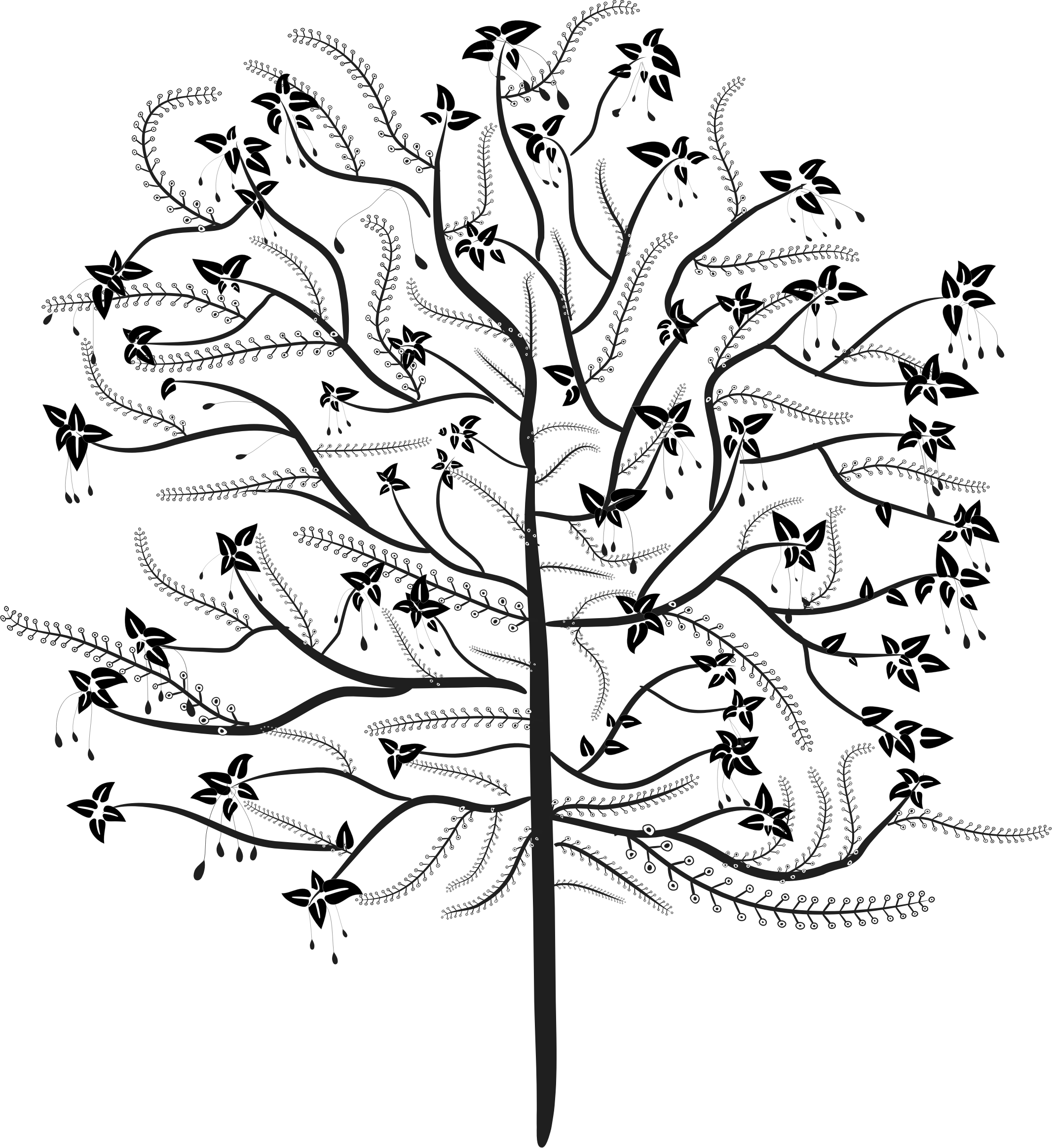 2132x2327 fig tree png download black and white - Fig Tree Drawing