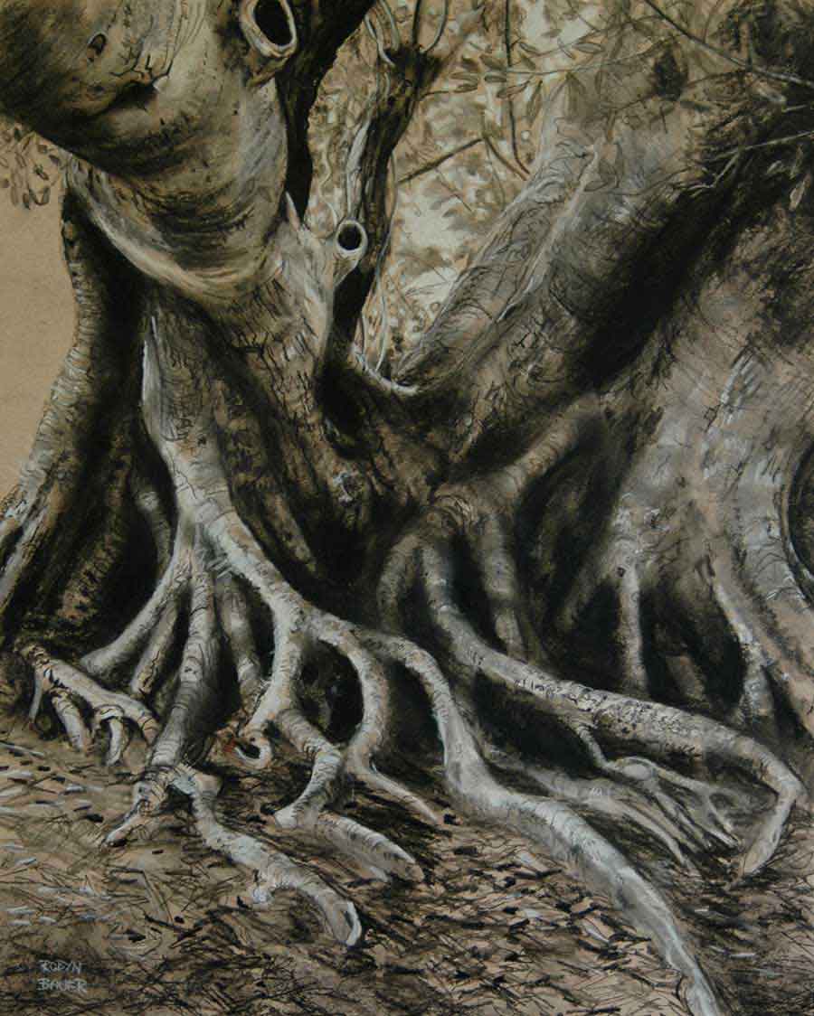 Fig Tree Drawing At Paintingvalley.com 