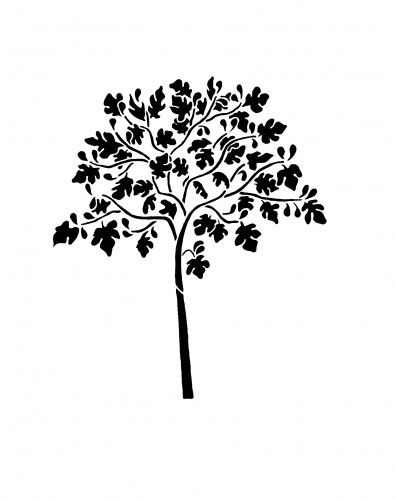 395x500 Wall Stencil - Fig Tree Drawing