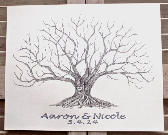 Fig Tree Drawing at PaintingValley.com | Explore collection of Fig Tree ...