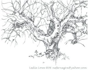 300x240 bunch ideas of barren fig tree parable coloring - Fig Tree Drawing