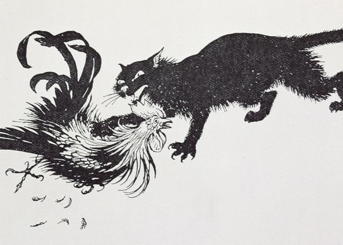 700x500 fighting roosters art fine art america - Fighting Rooster Drawings