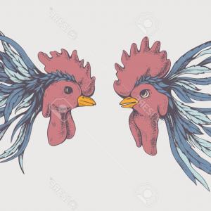 300x300 Photostock Vector Sign Rooster Hen And Chicken Series Of Farm - Fighting Rooster Drawings