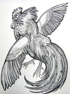 236x319 best roosters images in rooster tattoo, rooster art - Fighting Rooster Drawings