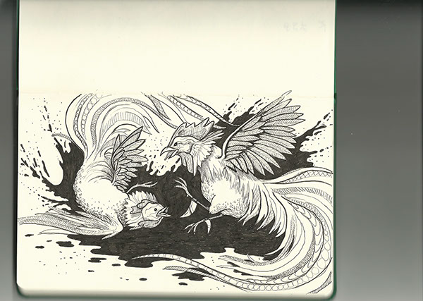 600x427 cock fight on aiga member gallery - Fighting Rooster Drawings