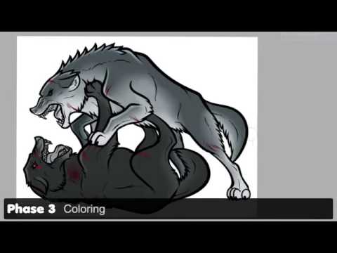 480x360 fighting wolves drawing, time lapse wolf fight process - Fighting Wolves Drawing