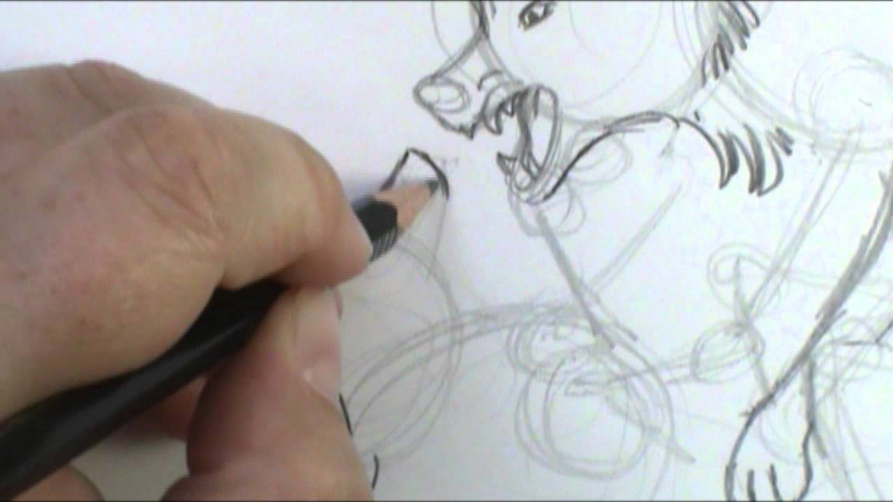 1280x720 how to draw wolves fighting - Fighting Wolves Drawing