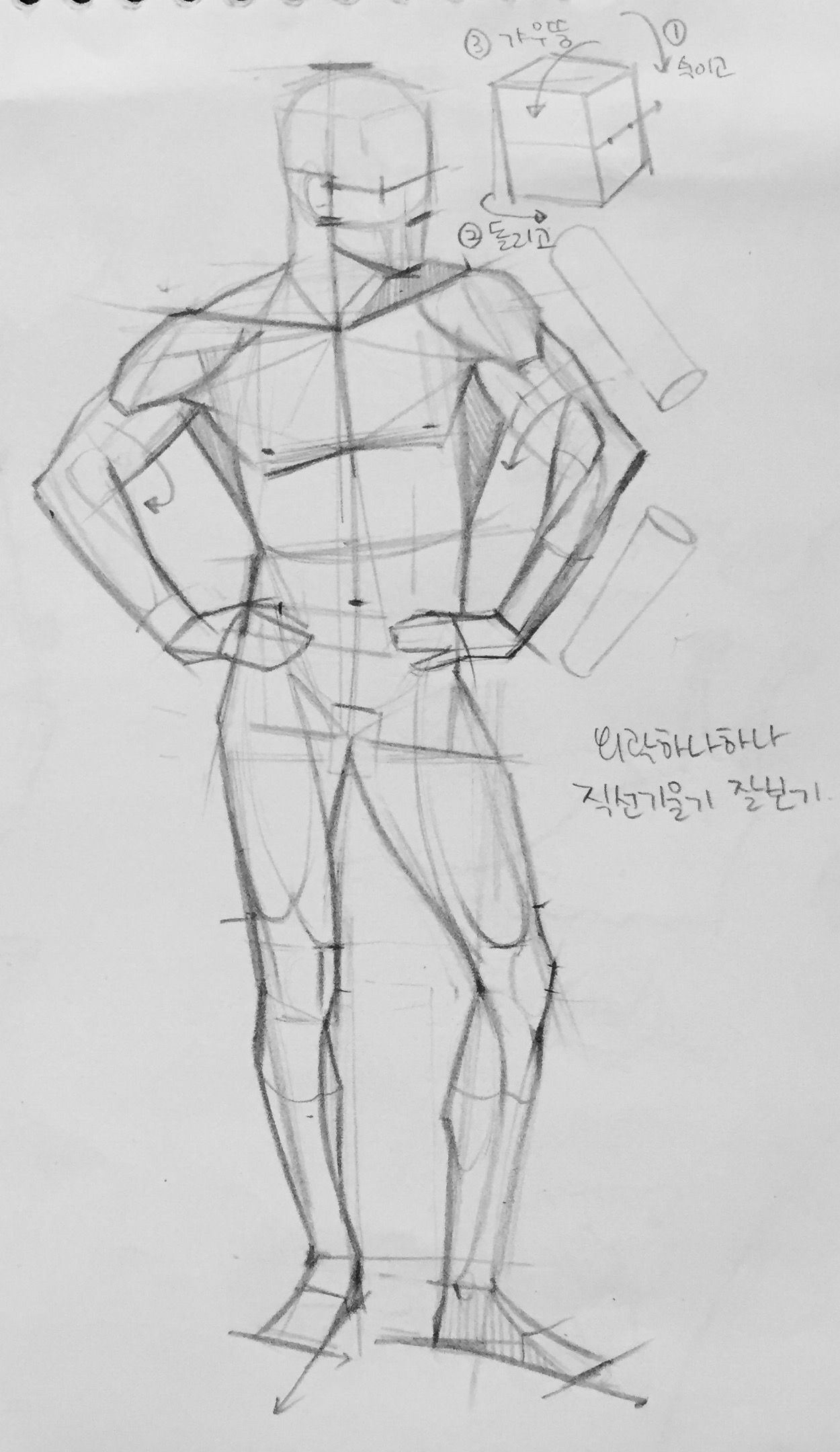 1250x2160 anatomy figure drawing figure - Figure Drawing