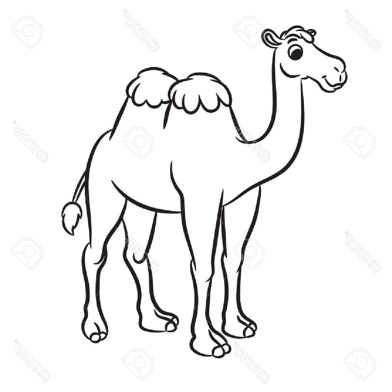 1300x1300 Best Hd Camel Cartoon Drawing Free - File Drawing