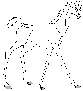 347x381 fanart esperanzaandstrider - Filly Drawing