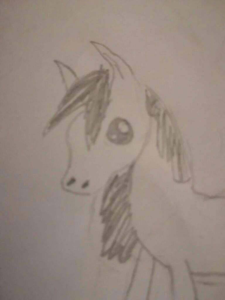 768x1024 filly drawing equestrian amino - Filly Drawing