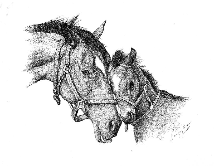 900x698 the filly drawing - Filly Drawing