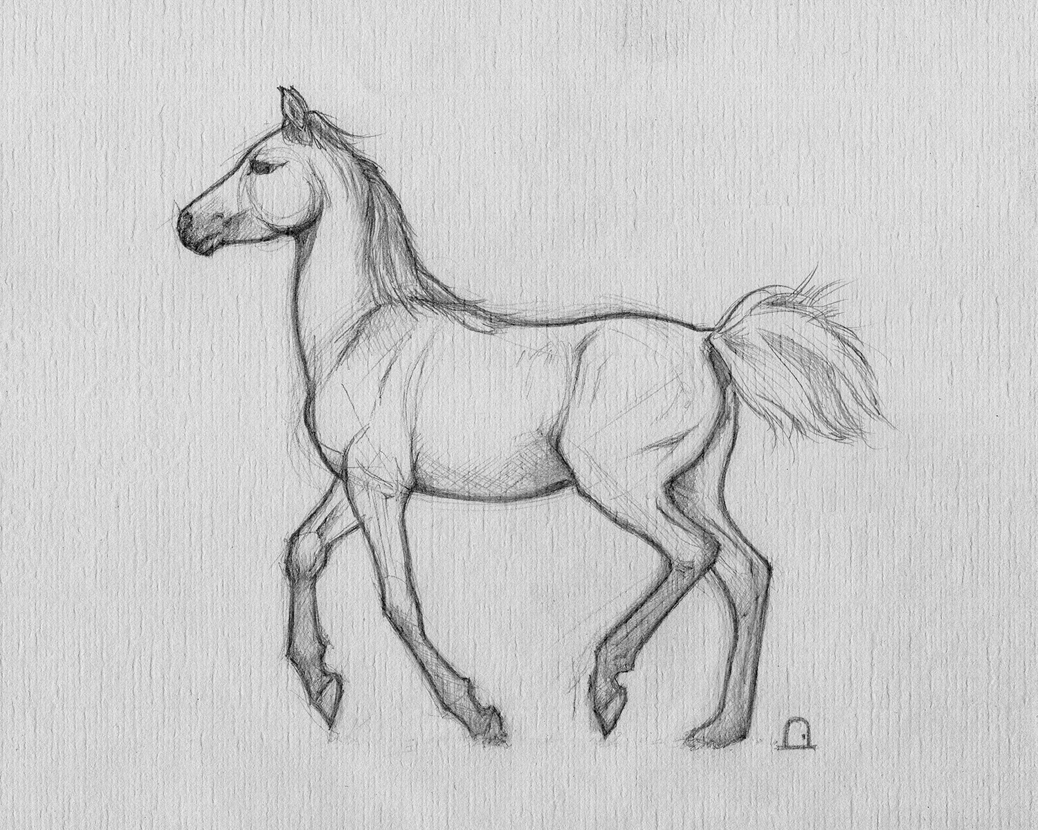 1500x1200 filly the graven gate - Filly Drawing