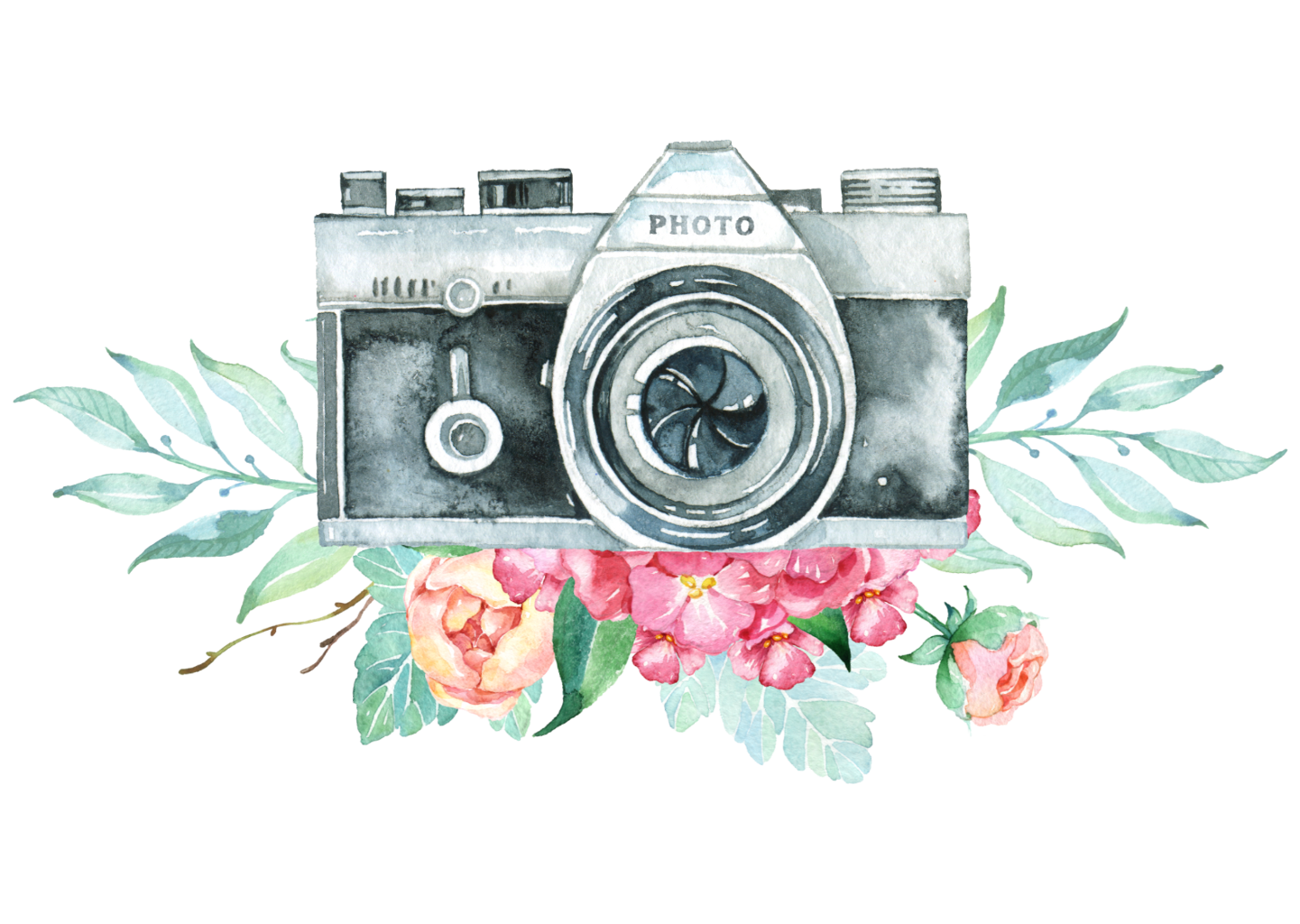 1441x1024 Collection Of Free Camera Drawing Flower Download On Ui Ex - Film Camera Drawing