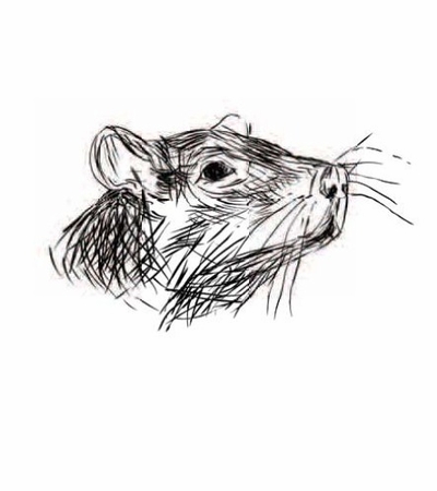 400x450 Mike Mills Drawings From The Film Beginners Artbook D A P - Film Drawing