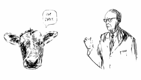 480x275 Mike Mills Drawings From The Film Beginners - Film Drawing
