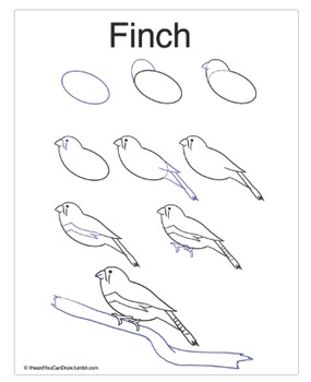 285x350 how to draw a finch! - Finch Drawing