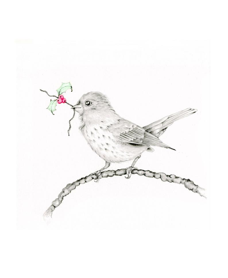 794x967 bird drawing illustration giclee fine art print of my original etsy - Finch Drawing