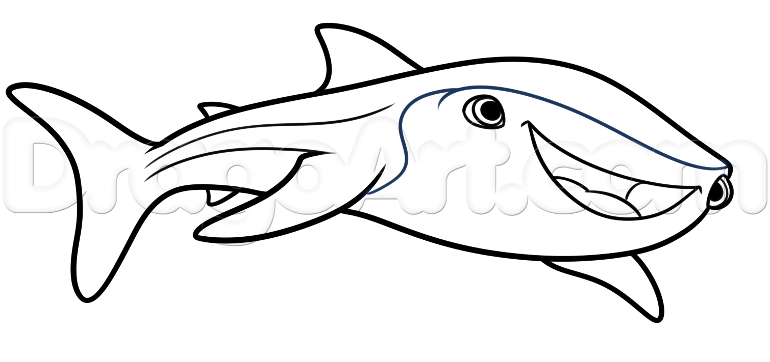 1509x711 How To Draw Destiny From Finding Dory, Step - Finding Dory Drawing
