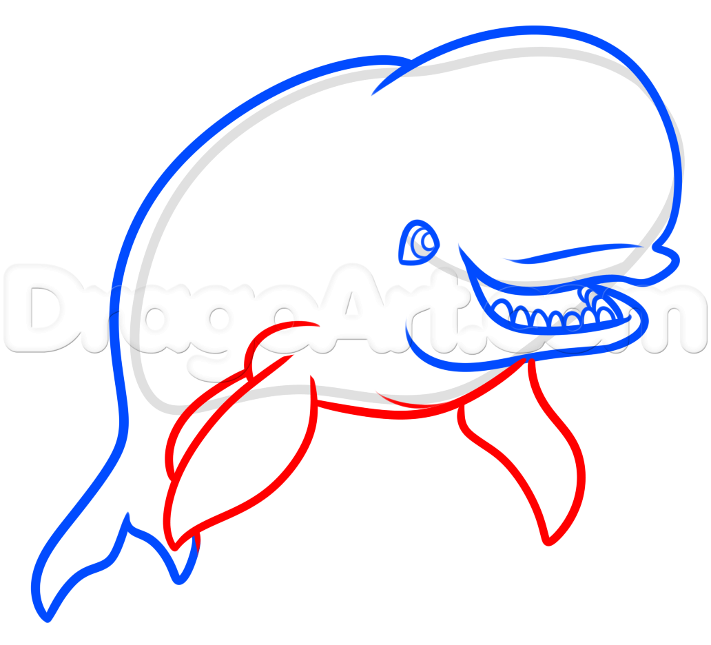1032x936 How To Draw Bailey From Finding Dory, Step - Finding Nemo Drawing