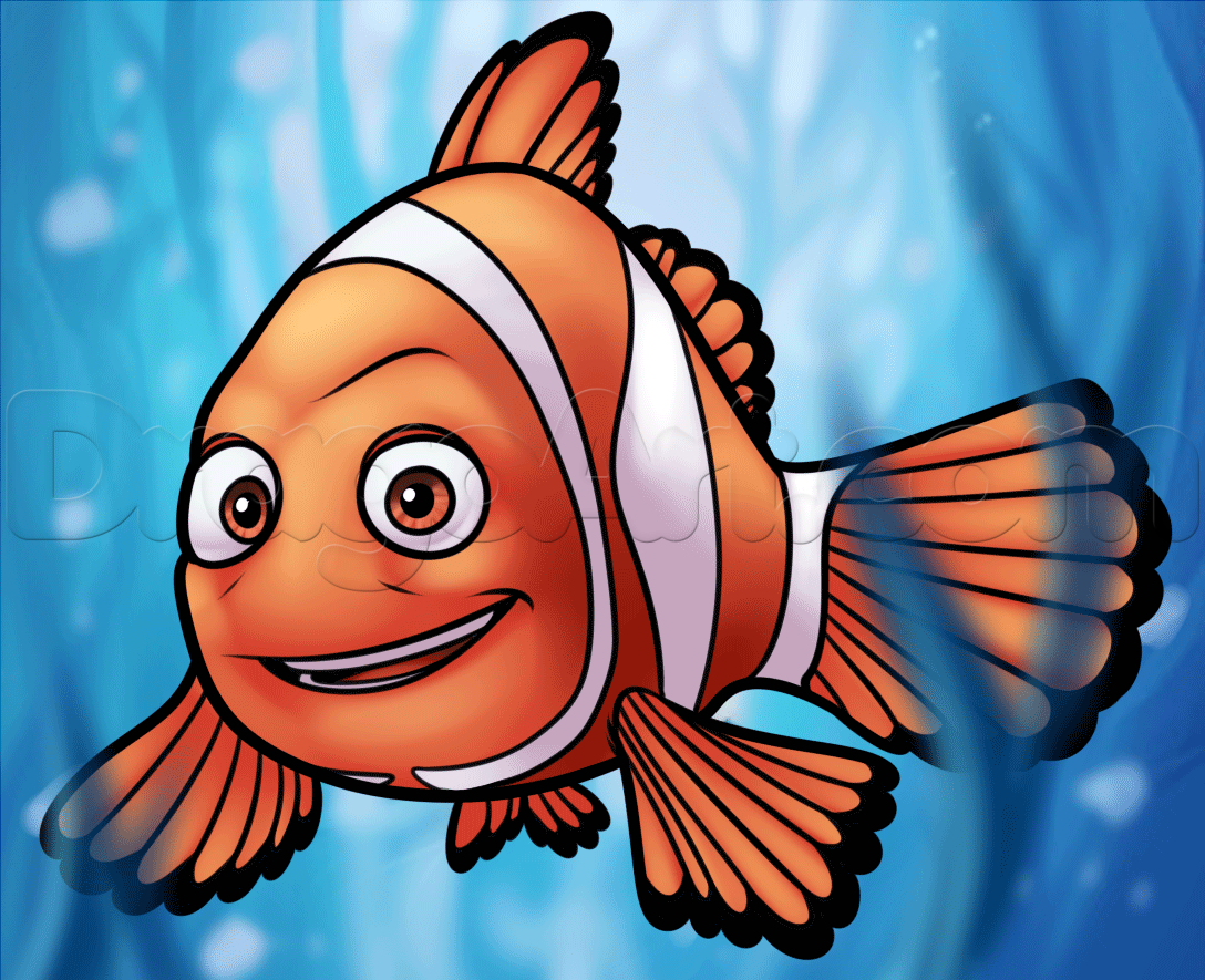 1088x885 How To Draw Marlin From Finding Dory, Step - Finding Nemo Drawing
