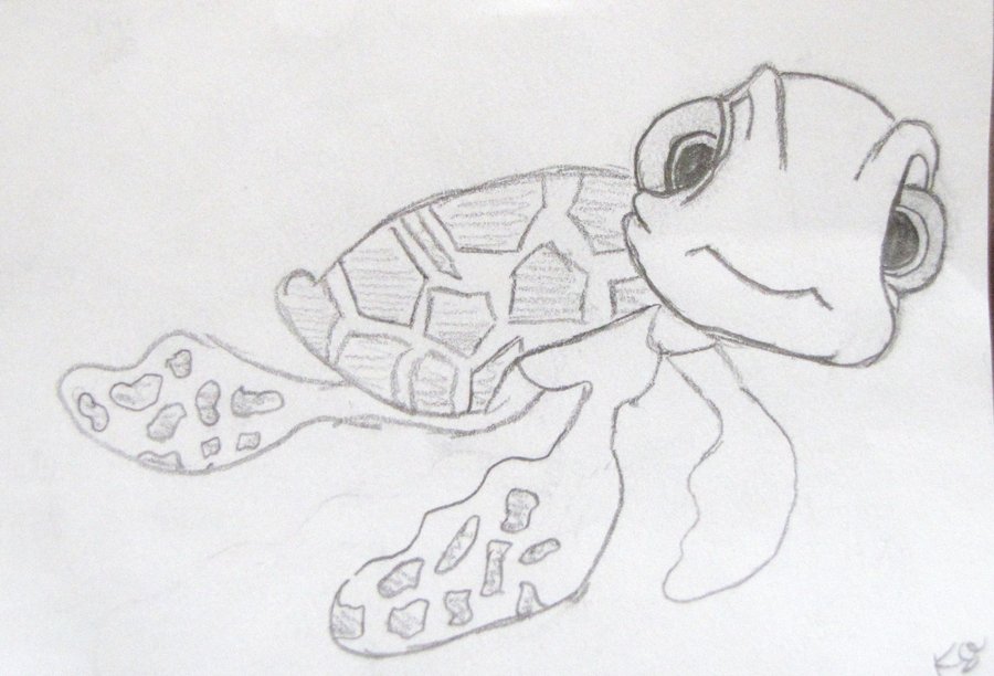 900x612 huge collection of 'finding nemo squirt drawing' download more - Finding Nemo Squirt Drawing