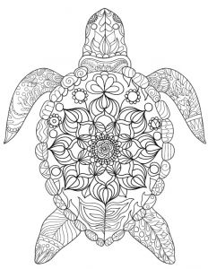 232x300 finding nemo drawings coloring pages coloring pages - Finding Nemo Turtle Drawing