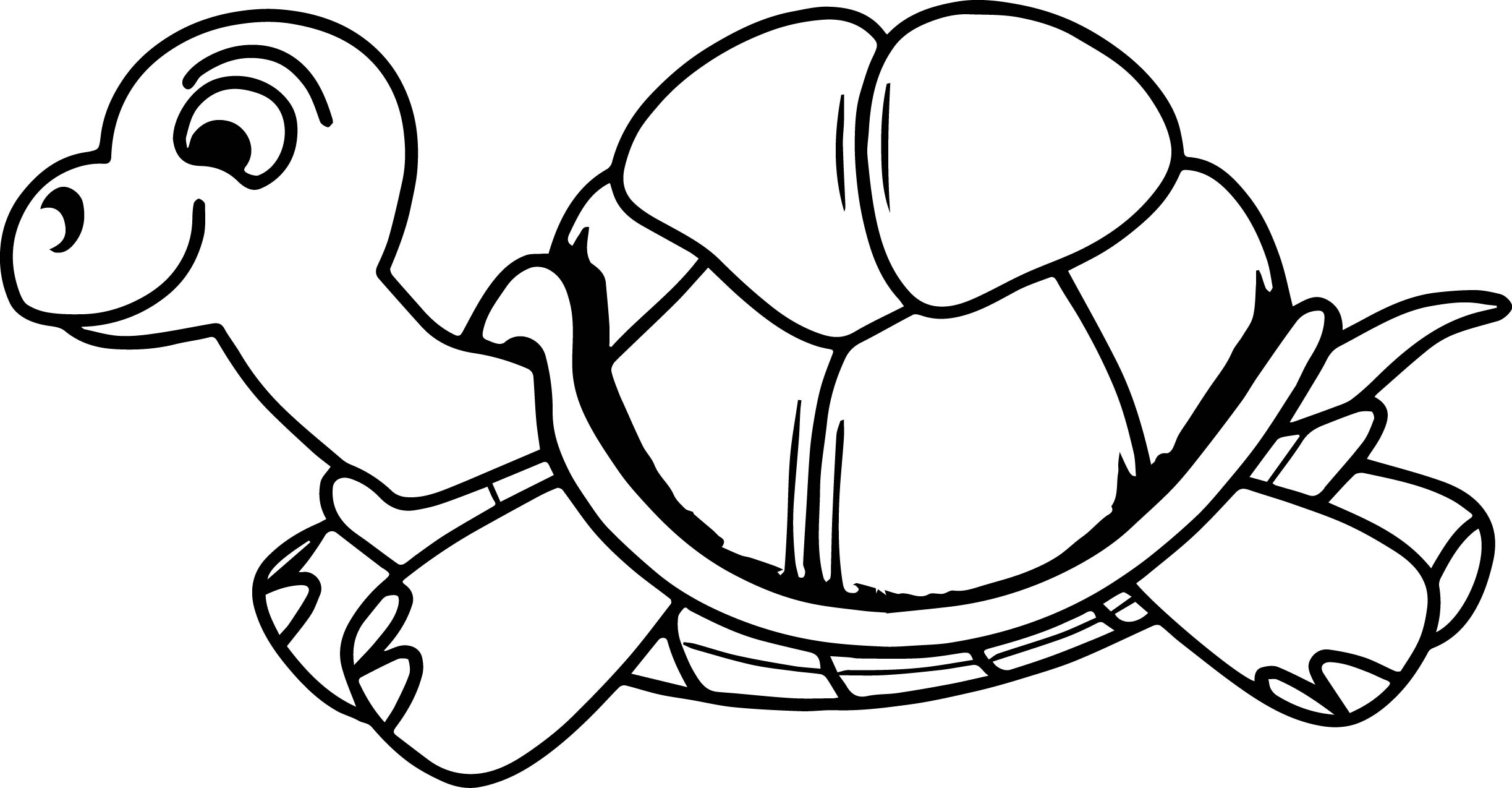 2446x1274 how to draw a turtle from finding nemo - Finding Nemo Turtle Drawing